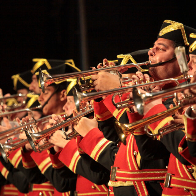 concierto quijote virgen de los reyes